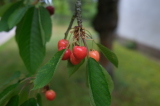 2026_06_14-12_41_07.jpg