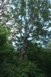 2026_06_14-15_04_15.jpg