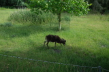 2026_06_14-16_21_18.jpg
