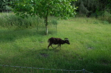 2026_06_14-16_21_19.jpg