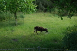 2026_06_14-16_21_21.jpg
