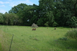 2026_06_14-16_21_24.jpg