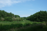 2026_06_21-11_34_05.jpg