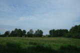 2026_06_21-11_34_10.jpg