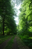 2026_06_21-11_47_37.jpg