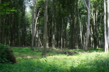 2026_06_21-11_47_41.jpg