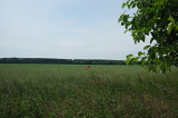 2026_06_21-12_03_13.jpg