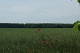 2026_06_21-12_03_18.jpg