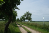 2026_06_21-12_03_33.jpg
