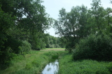 2026_06_21-12_23_23.jpg
