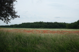 2026_06_21-12_43_22.jpg