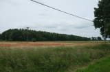 2026_06_21-12_43_28.jpg