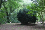 2026_06_21-12_51_25.jpg