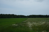 2026_06_21-13_03_31.jpg