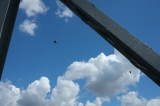2026_07_11-11_54_10.jpg