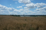 2026_07_11-13_44_57.jpg