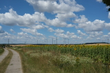 2026_07_11-13_46_00.jpg