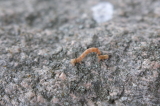 2026_07_11-13_53_04.jpg