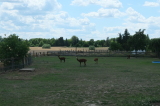 2026_07_11-14_04_57.jpg