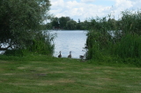 2026_07_11-14_13_37.jpg