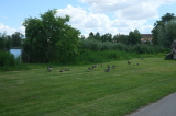2026_07_11-14_13_43.jpg