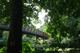 2026_07_19-11_22_44.jpg