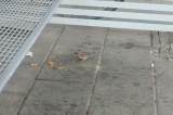 2026_07_19-13_18_08.jpg