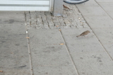 2026_07_19-13_18_16.jpg