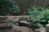 2026_07_26-13_32_02.jpg
