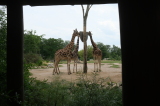 2026_07_26-13_43_21.jpg