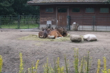 2026_07_26-15_27_54.jpg