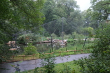 2026_07_26-15_49_12.jpg