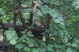 2026_07_26-16_09_44.jpg