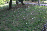 2026_09_26-14_58_54.jpg