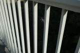 2026_09_27-13_41_29.jpg