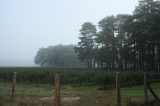 2026_10_04-09_37_21.jpg