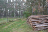2026_10_04-09_37_27.jpg