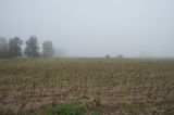 2026_10_04-09_49_14.jpg