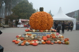 2026_10_04-10_14_33.jpg