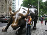 Xenia and the Wall Street Bull