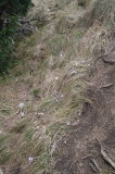 2026_03_23-11_02_36.jpg