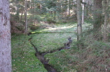 2026_03_25-09_35_27.jpg