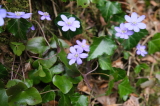 2026_03_25-11_56_26.jpg