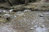 2026_03_25-12_14_05.jpg