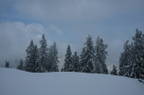 2026_03_27-11_55_10.jpg