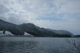 2026_03_27-15_20_03.jpg