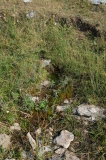 2026_09_03-09_33_11.jpg