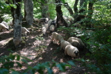 2026_09_03-11_43_51.jpg