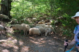 2026_09_03-11_44_12.jpg