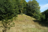 2026_09_04-13_36_12.jpg